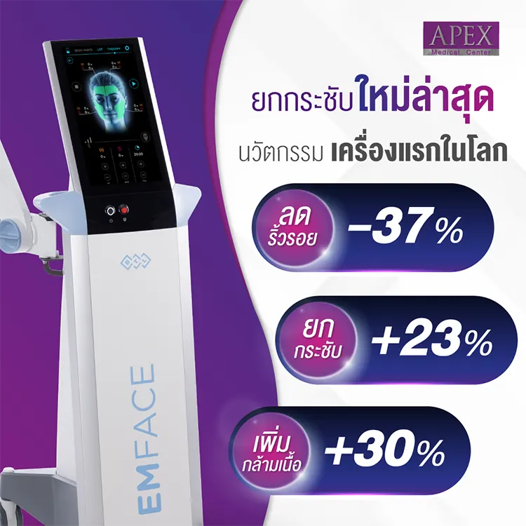 จุดเด่นของ Emface