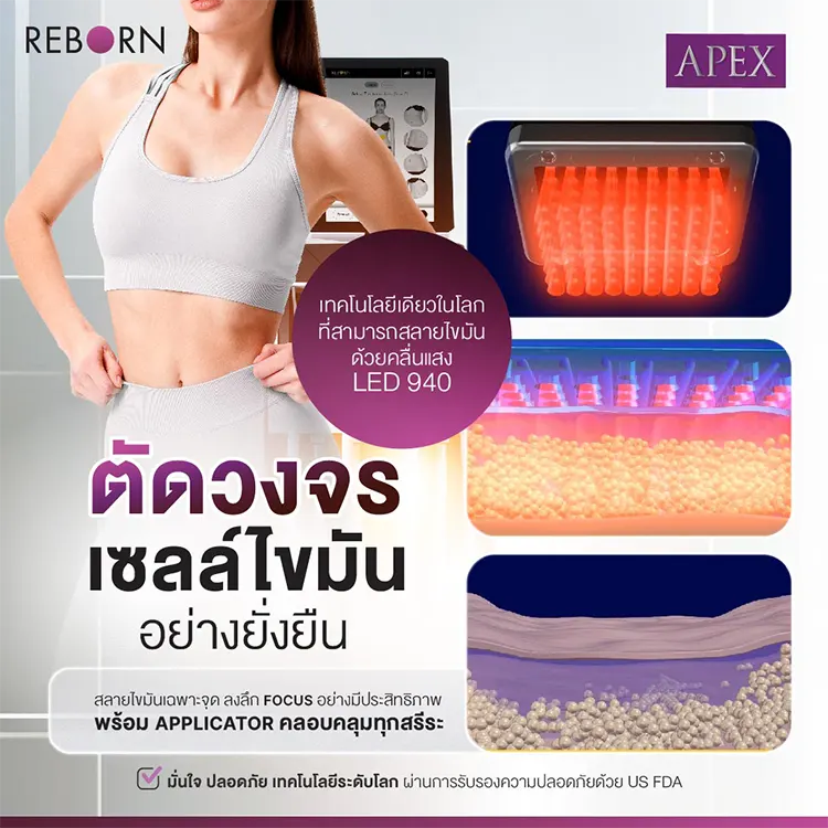 เตรียมตัวก่อนการทำ Reborn